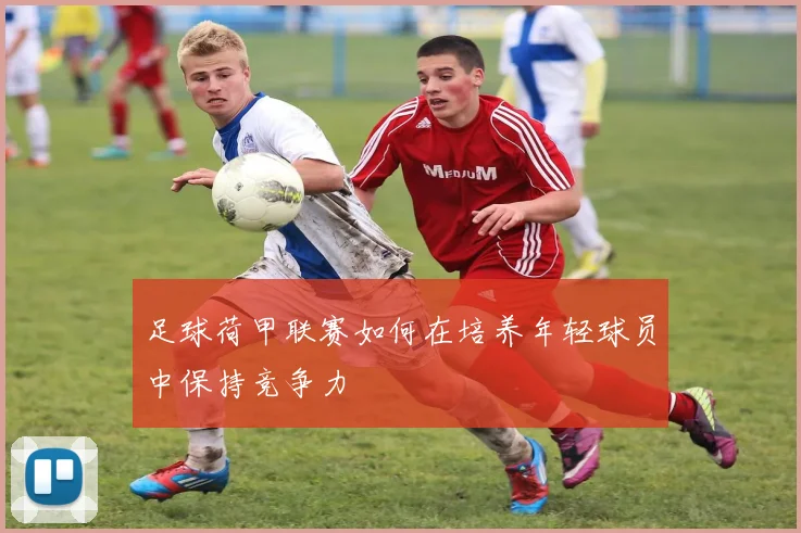 足球荷甲联赛如何在培养年轻球员中保持竞争力